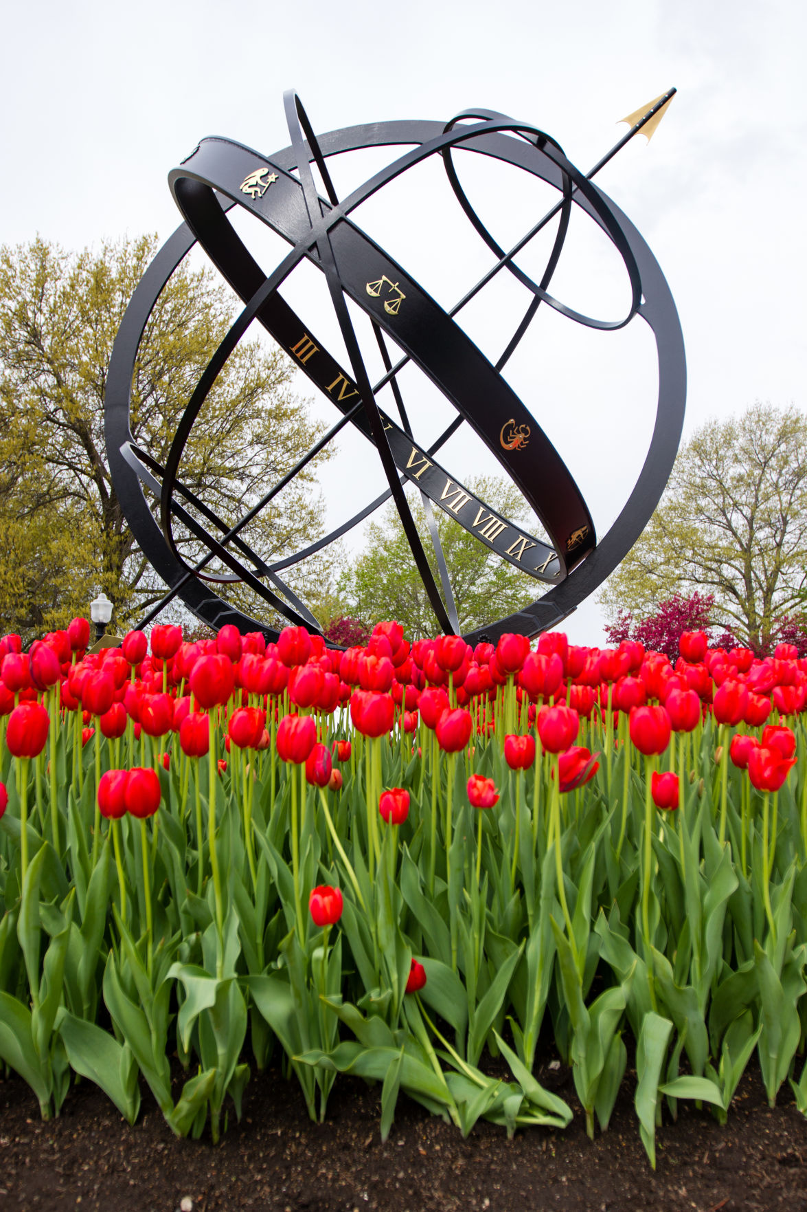 84th ANNUAL TULIP TIME